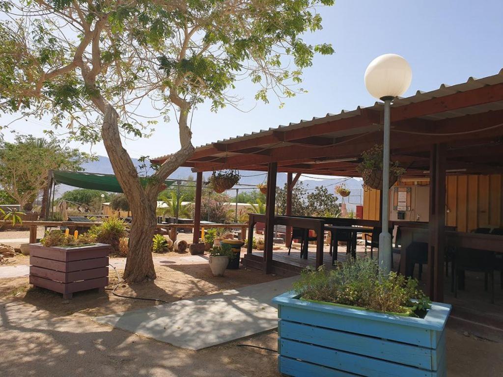 Elifaz Desert Experience Holiday Exterior photo